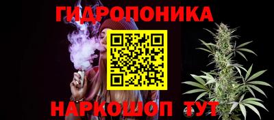 Альфа ПВП Обь