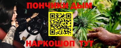 Альфа ПВП Обь